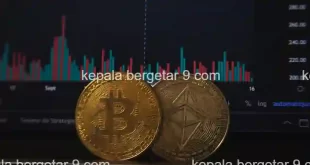 crypto info kepala